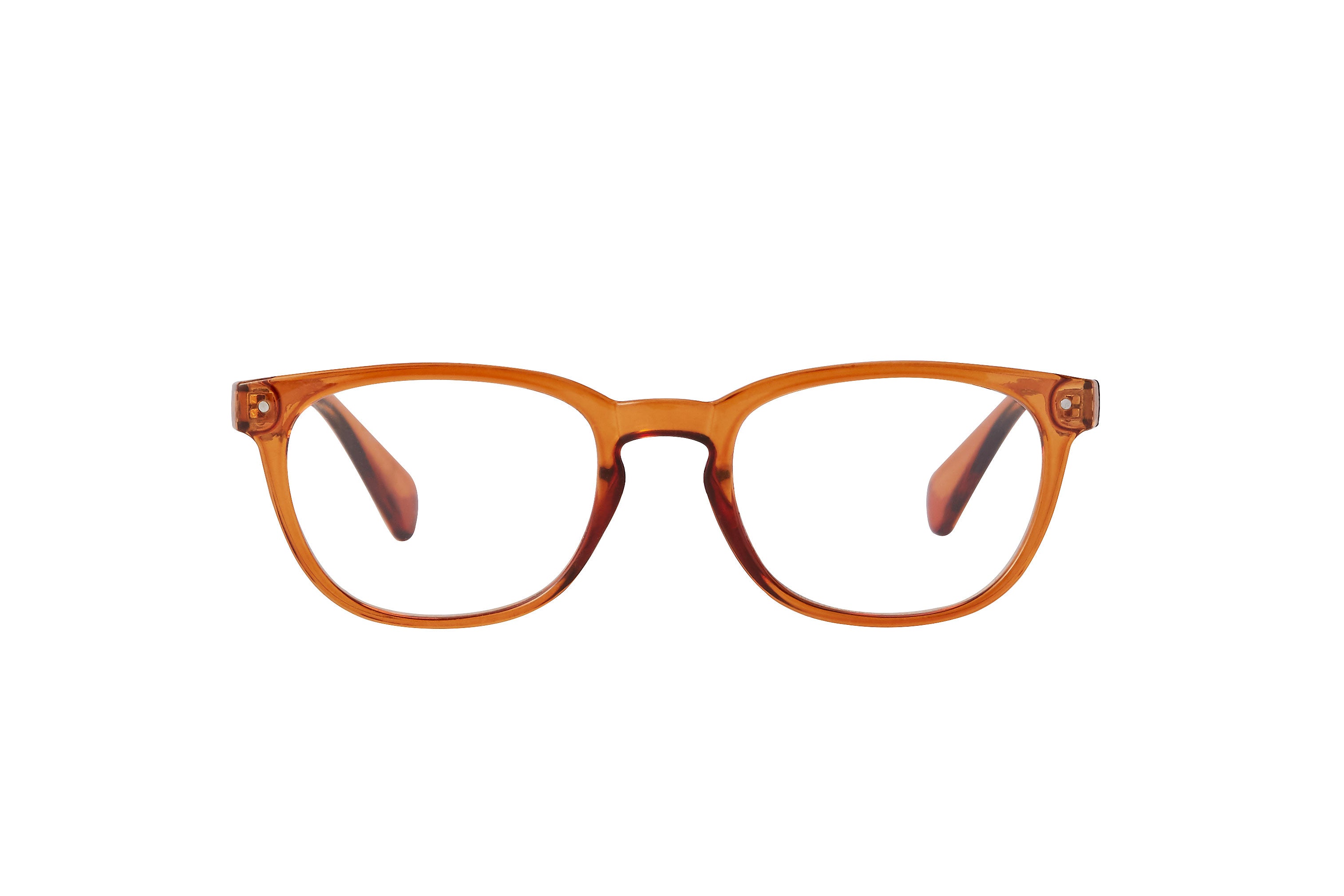 HOLSTEBRO transp lion-brown Reading Glasses.