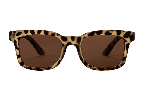 SB-HERTA foggy turtle brown Sunglasses Bifocal