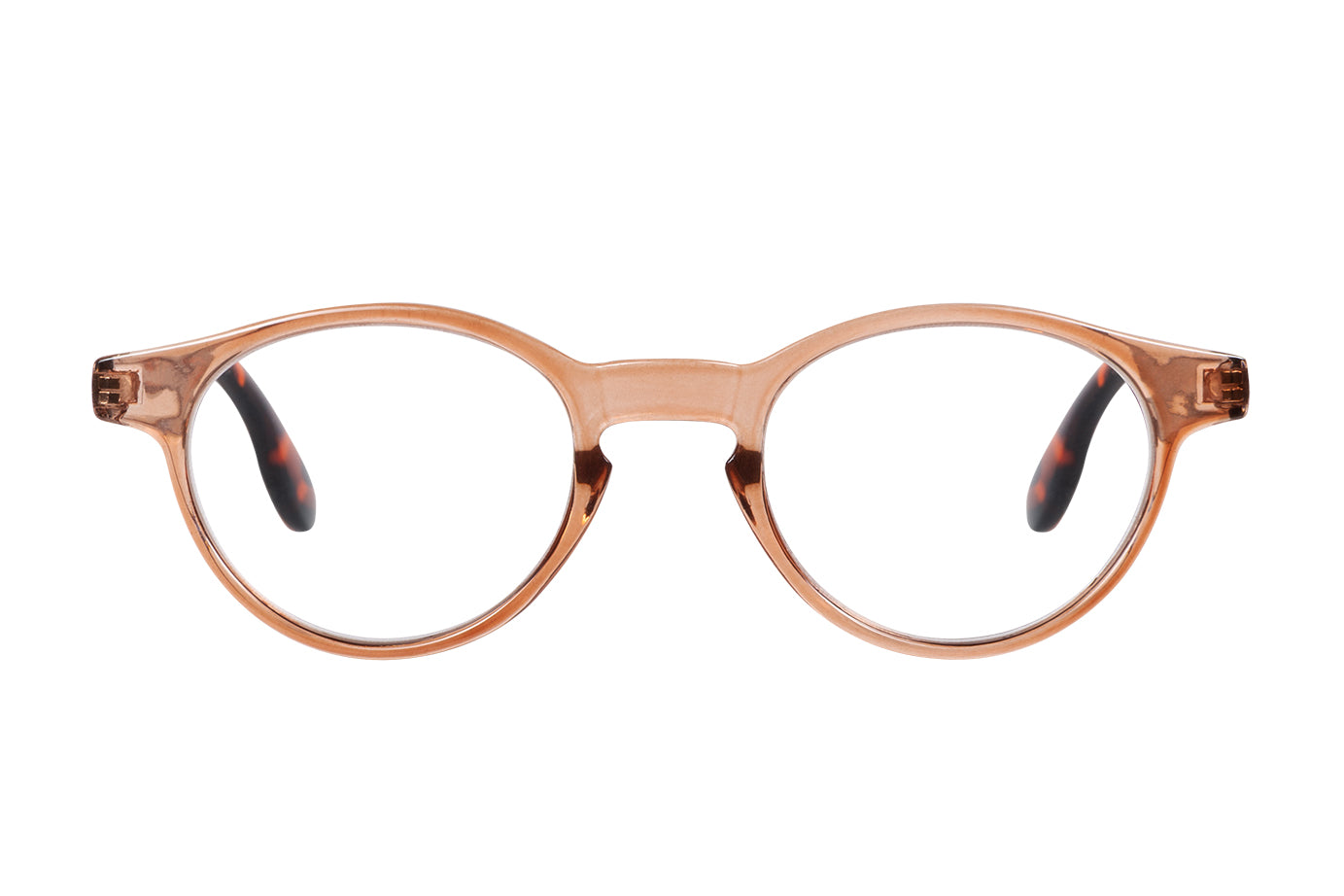 TOBIAS mole-turtle brown Reading Glasses 50% OFF get in stock