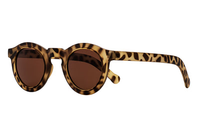 SB-RAOUL foggy turtle brown bifocal w power Sunglasses