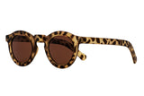 SB-RAOUL foggy turtle brown Sunglasses Bifocal