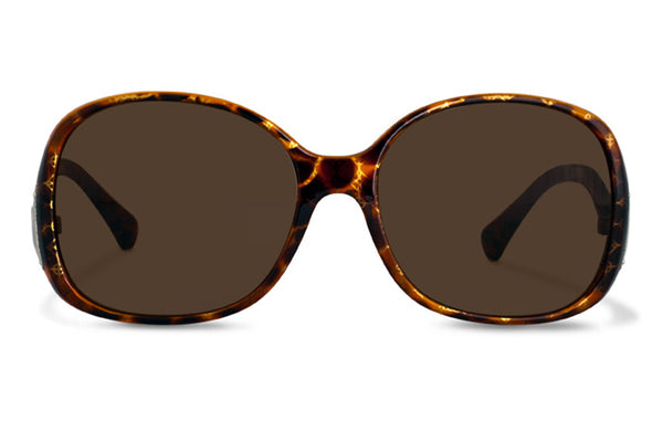 SB-MAUD brown Bifocal Sunglasses 50% RABATT få kvar i lager