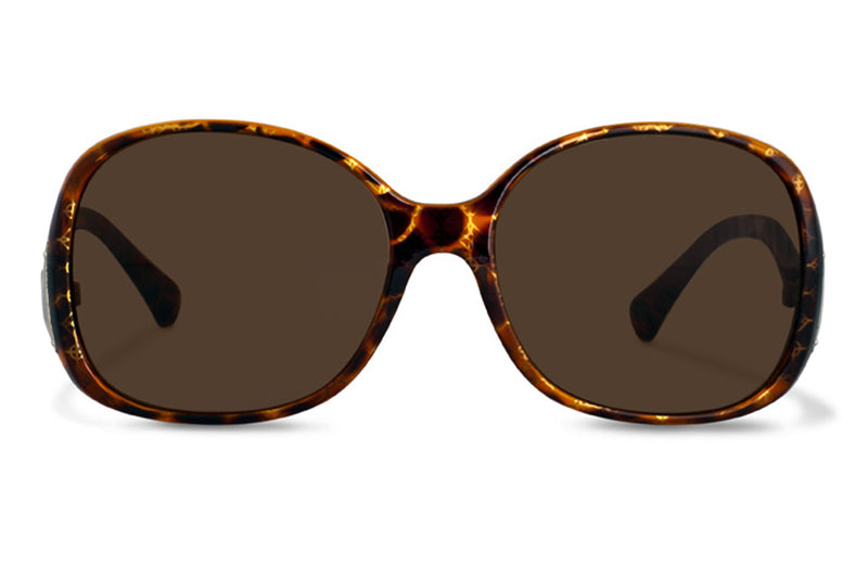 SB-MAUD brown Bifocal Sunglasses 50% RABATT få kvar i lager