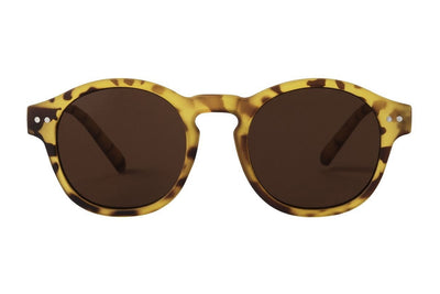 S-NOAH demi rubber Sunglasses SALE only 5pcs in stock