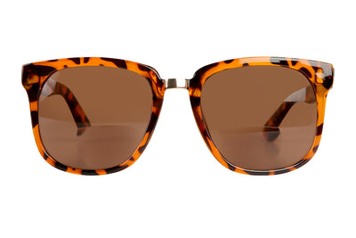 SB-NOVA demi brown bifocal w powe Sunglasses SALE