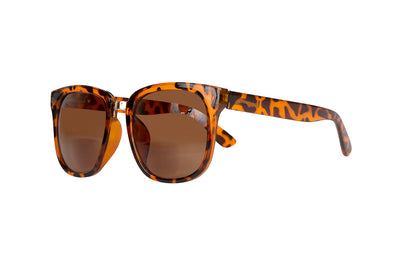 SB-NOVA demi brown bifocal w powe Sunglasses SALE