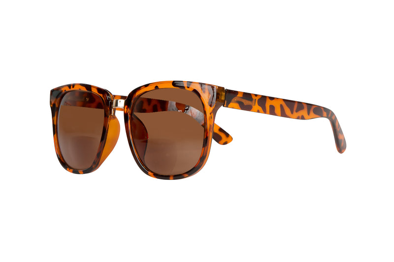 SB-NOVA demi brown Bifocal Sunglasses 50% RABATT. FÅ KVAR I LAGER