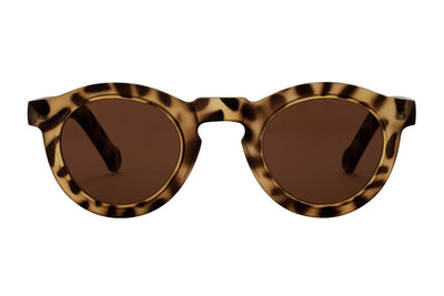 SB-RAOUL foggy turtle brown bifocal w power Sunglasses
